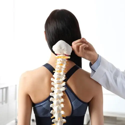 Chiropractor demonstrating spinal alignment on a patient at The Fitness Equation One Loudoun in Ashburn, VA, highlighting chiropractic care for pain relief and mobility.